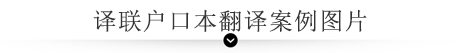 譯聯翻譯案例指示圖