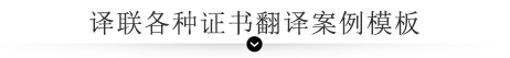 譯聯翻譯案例指示圖